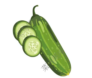 黄瓜矢量图