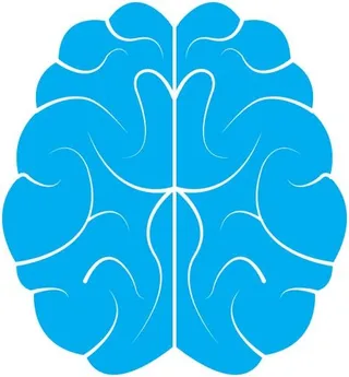 大脑 PNG免抠