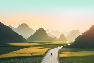 马路田园树林大气背景