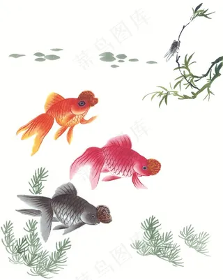 金鱼绘画美术绘画