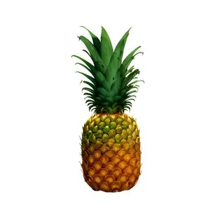 菠萝水果免抠