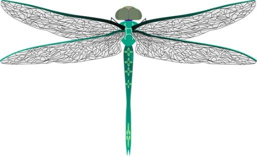 蜻蜓 PNG免抠