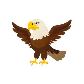 老鹰鸟动物免抠