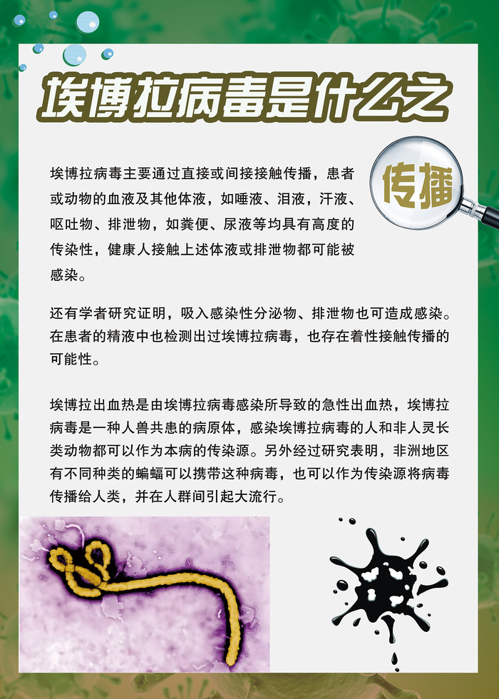 埃博拉病毒是什么传染病知识海报psd模版下载