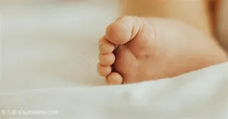 肉嘟嘟的漂亮宝宝照