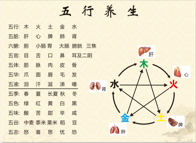 五行养生图cdr矢量模版下载