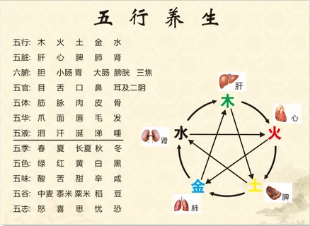 五行养生图