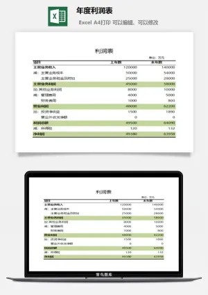 年度利润表excel模板
