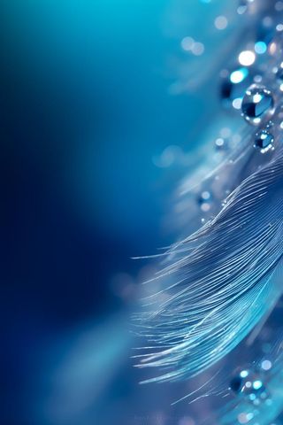 露珠蓝色清新大气背景