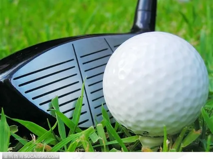 高尔夫球场上的球杆和球和特写 高尔夫球场上的球杆和球和特写