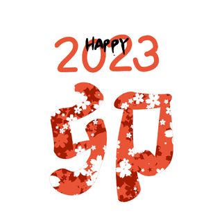 2023年兔年红色数字