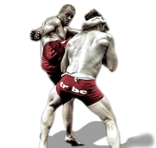 综合格斗 PNG, MMA PNG免抠(830x784)