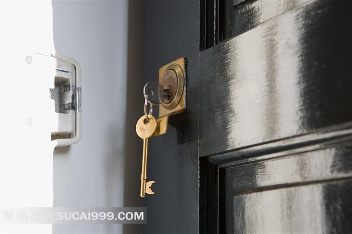 大门上插着金属钥匙