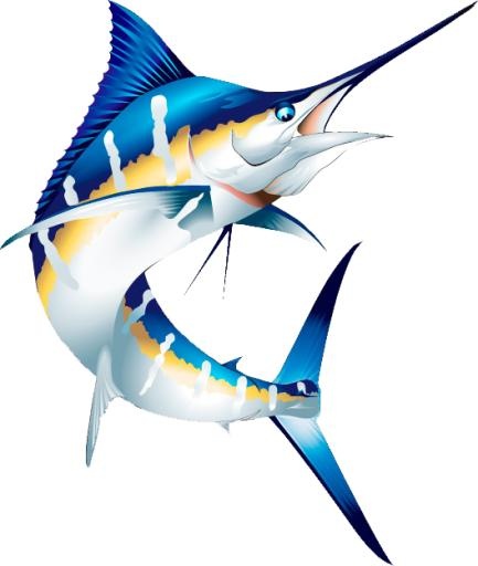 剑鱼 PNG免抠