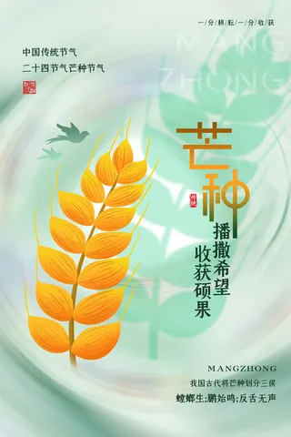 简约手绘风芒种节气宣传海报