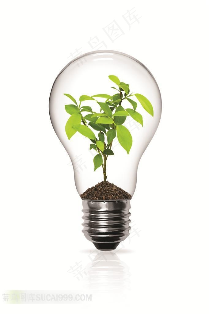 环保白炽灯灯光照明