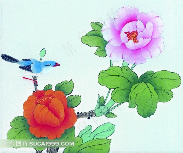 工笔花枝上的小鸟