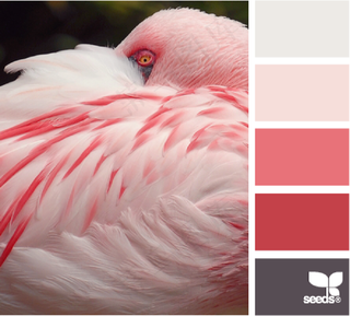 动物配色色卡色彩搭配