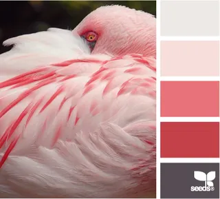 动物配色色卡色彩搭配