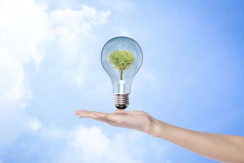 高清创意绿色环保背景图片公益海报展板宣传PSD分层平面设计素材