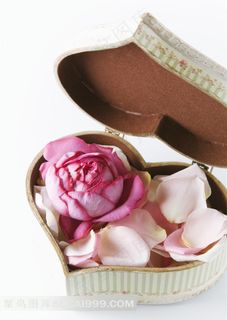 放在爱心盒子里的玫瑰花瓣