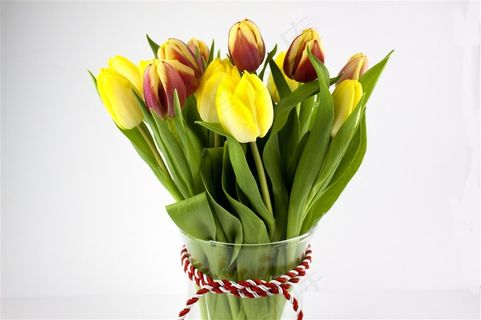 黄色郁金香花束鲜花图片