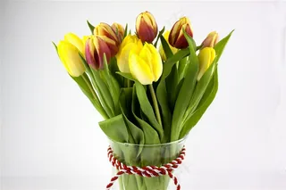 黄色郁金香花束鲜花图片