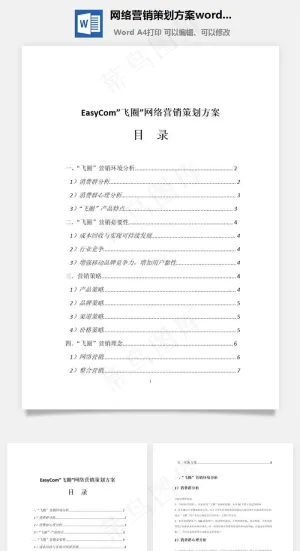 网络营销策划方案word文档