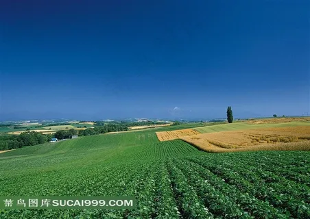 田园风景摄影图片 田园风景摄影图片