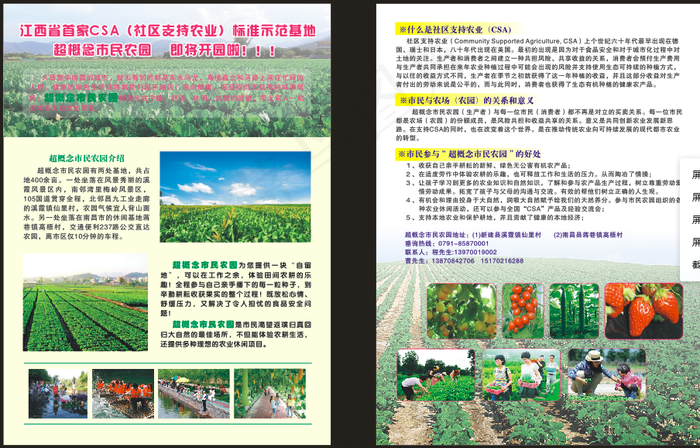 蔬菜果园宣传单农业宣传单cdr矢量模版下载