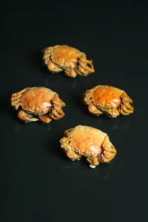 大闸蟹 