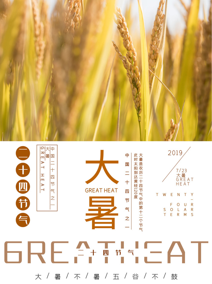 传统节气大暑海报psd模版下载