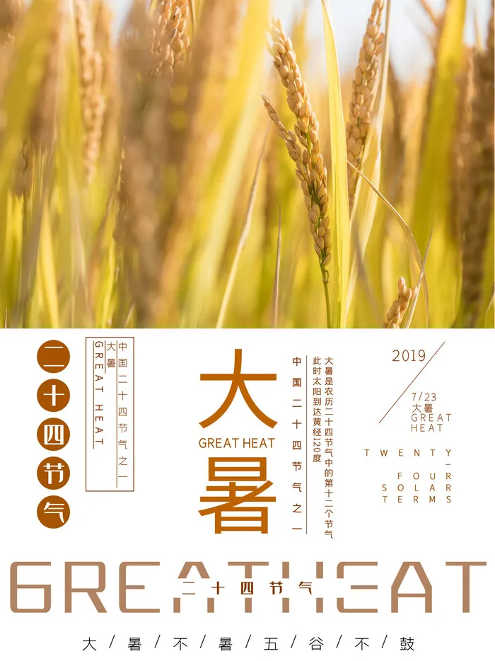 传统节气大暑海报psd模版下载
