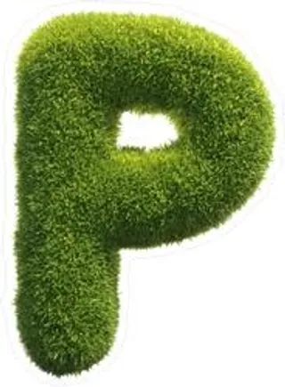 字母P PNG免抠
