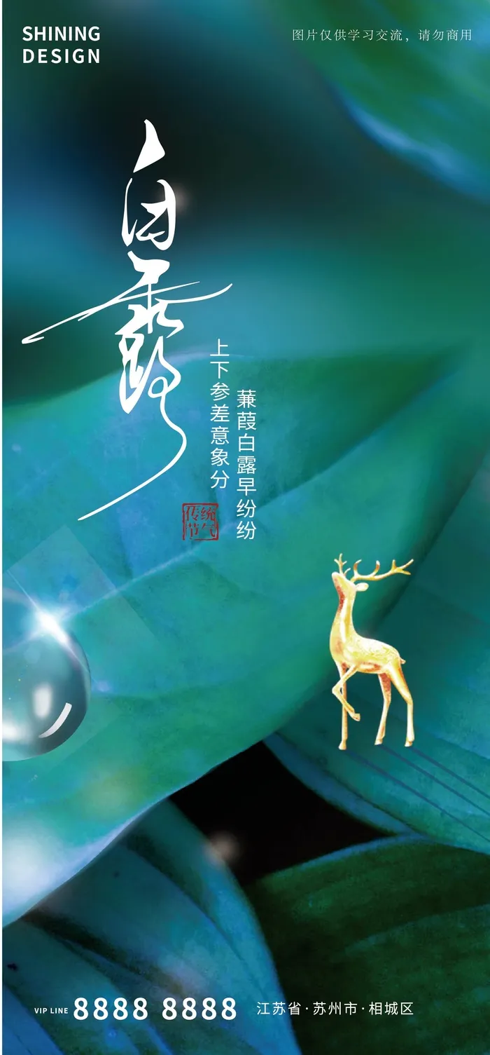 白露露珠传统节气海报