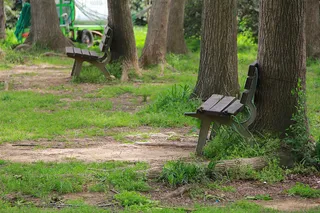 公园树林中旧长木椅2只