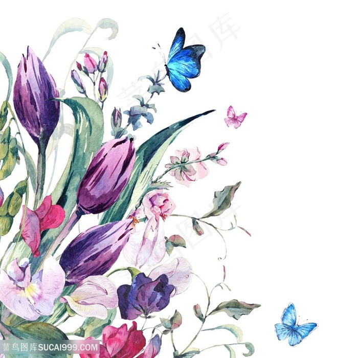 水彩花卉蝴蝶图片