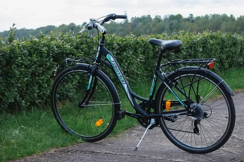 全新女士自行车图片 全新女士自行车图片