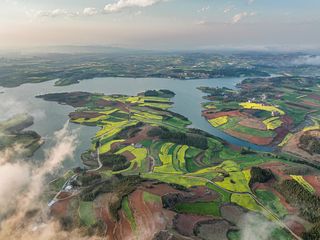 航拍罗平油菜花