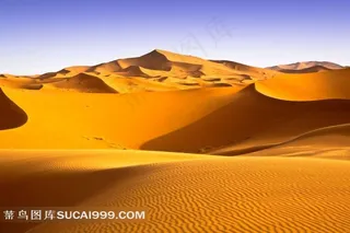 金色沙漠自然景观
