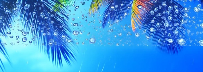 夏日椰树水珠冰爽背景(7360x2624)