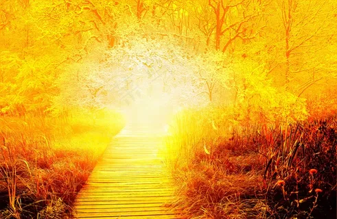 梦幻森林风景图片下载 梦幻森林风景图片下载