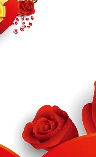 玫瑰花情人节红色