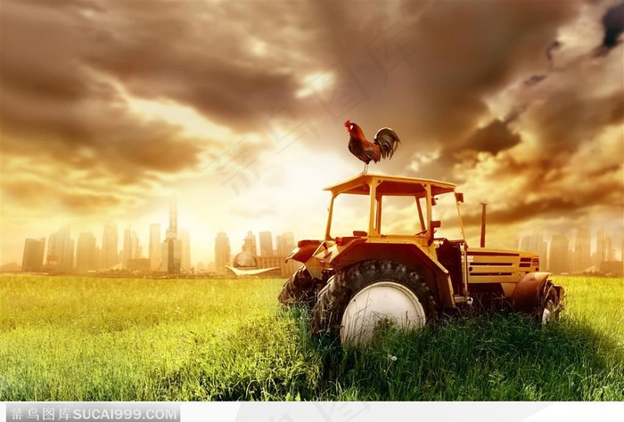 广告创意画面--停在城市草地的拖拉机上站着一只公鸡