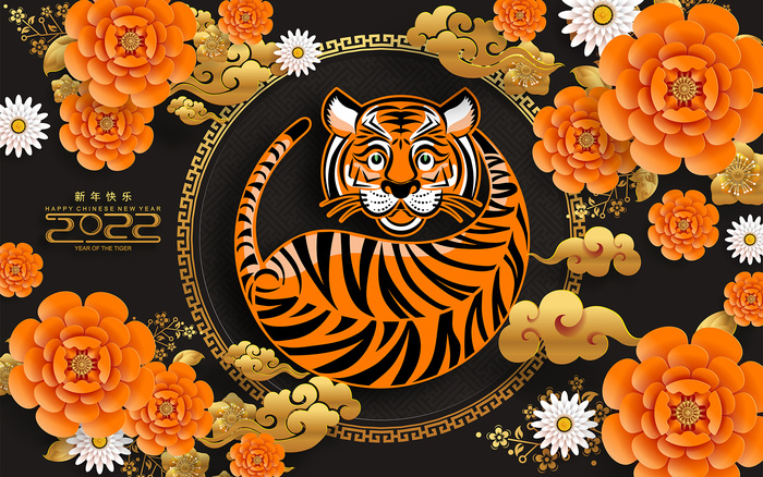 虎年图案创意AI矢量素材