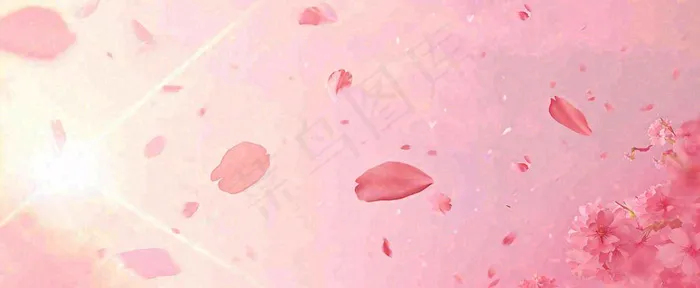 春天粉色樱花浪漫树枝花瓣花朵，阳光清新立春(1712x704)