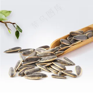 葵花籽 葵花籽油