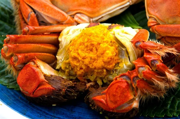 大闸蟹美食肉蟹