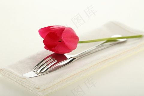 高清郁金香图片下载