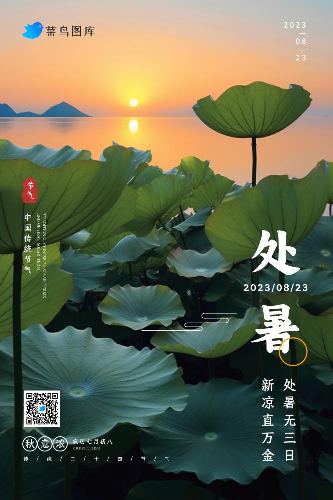 处暑荷叶河边傍晚意境简约节气海报